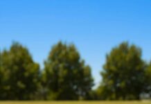 ‘क्यों नहीं निकाल बाहर करते ऐसे खिलाड़ियों और लाखों की सैलरी वाले बाहरी कोच को?’