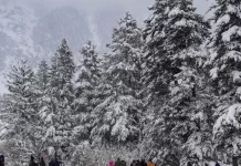 शिमला ने ओढ़ ली बर्फ की चादर, बर्फबारी से सैलानियों की बाछें खिलीं