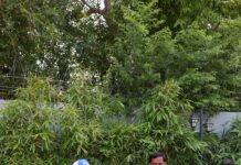 पीयूष चावला बोले- कानपुर के खिलाड़ी इंटरनेशनल लेवल के लिए तैयार