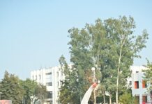 REPL लखनऊ चैलेंजर्स: भविष्य के क्रिकेट सितारों ने दिखाया दम